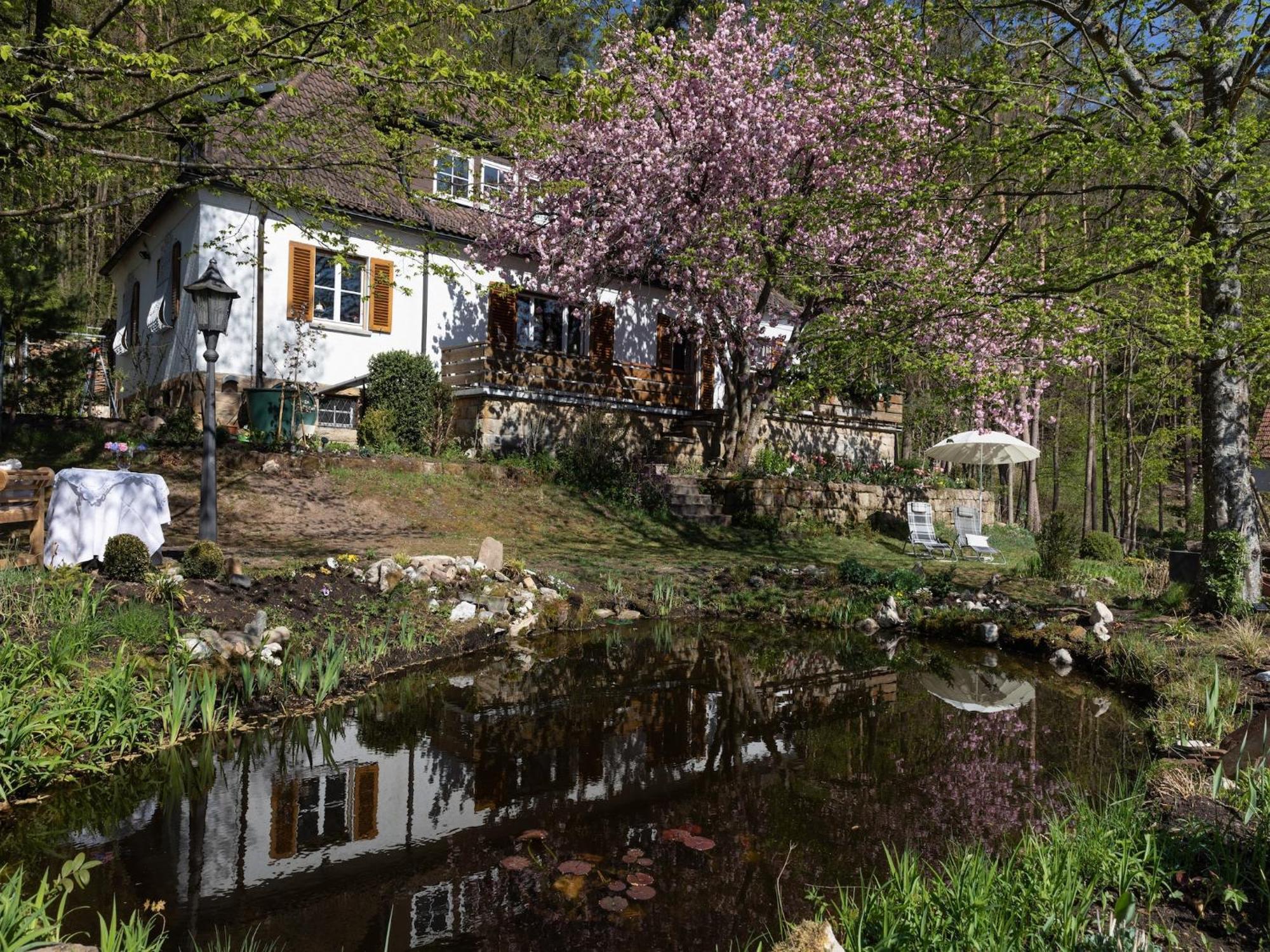 Charming Apartment In Wei Enbrunn Near Forest Weissenbrunn 外观 照片